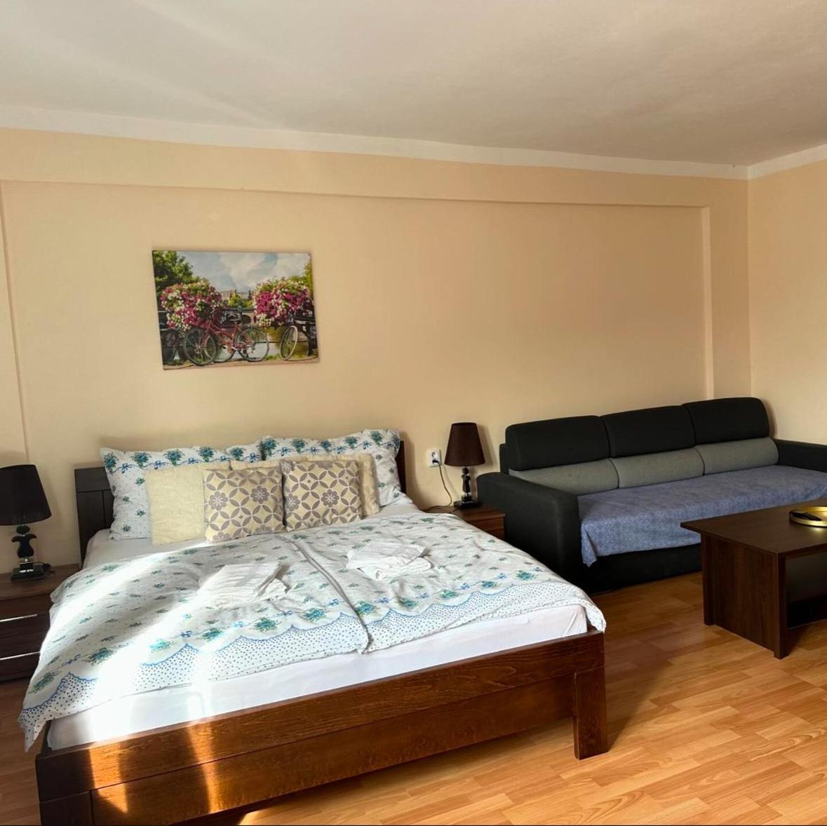 Apartmán se 3 ložnicemi - Karlovy Vary centrum Exterior foto